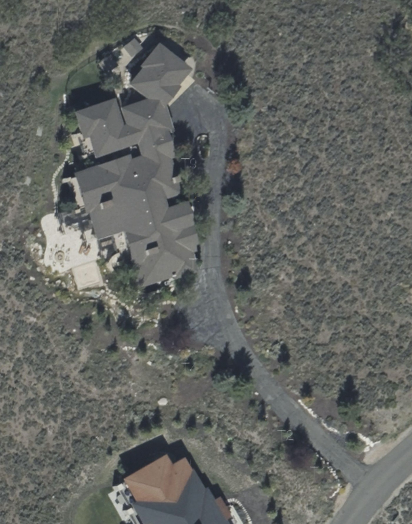 Goodwin property aerial with tree markers